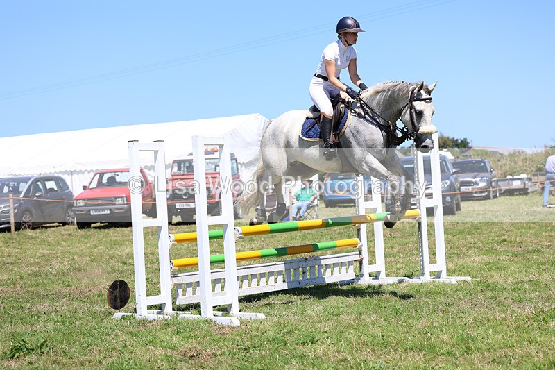 3E7A5576 - Class 9: Senior British Novice/90cm open