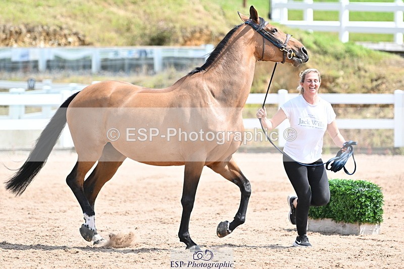 240717A-145034-02336 - Trot Up 2pm to 3pm - This folder is not in time order