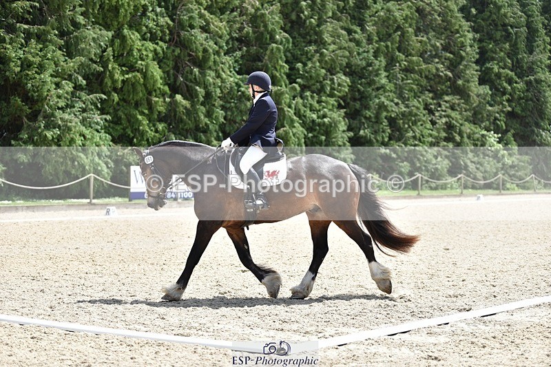 240605-133722-00467 - Cls 5 Elementary 43