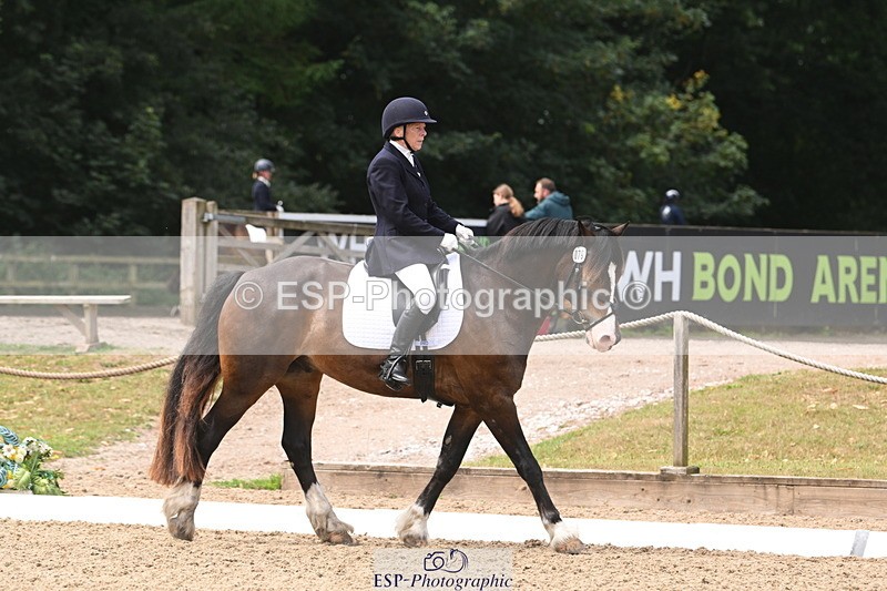 250720A-115834-10100 - 079-Amanda.Williams-Llanarth.Westminster