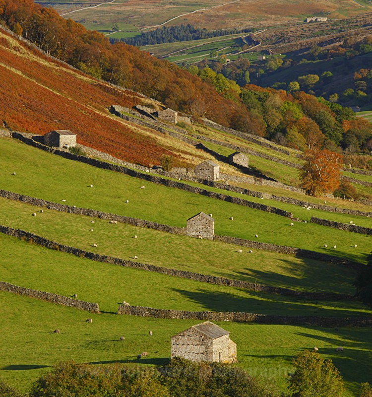 Swaledale Barns               ref 4367 - The Pennines and Cumbria