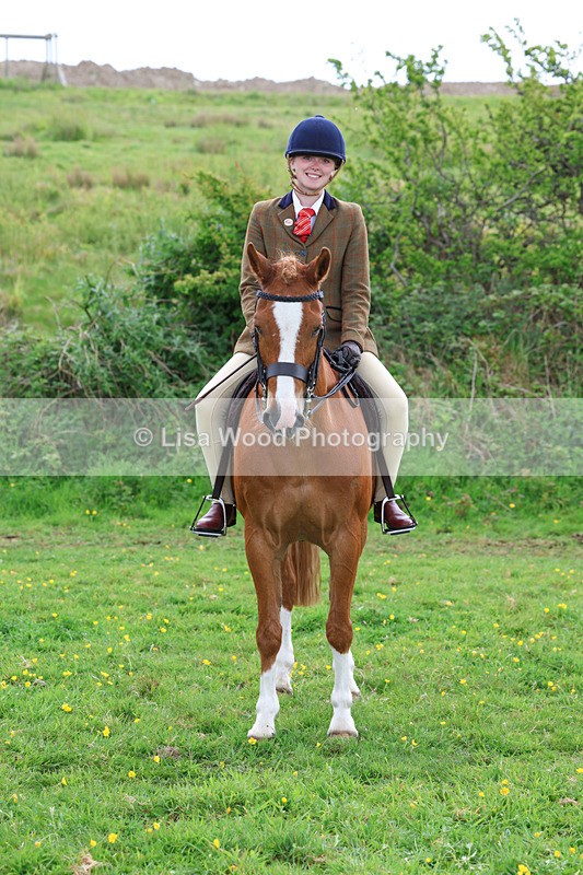 3E7A2050 - Class 10: Ridden Sports Horse