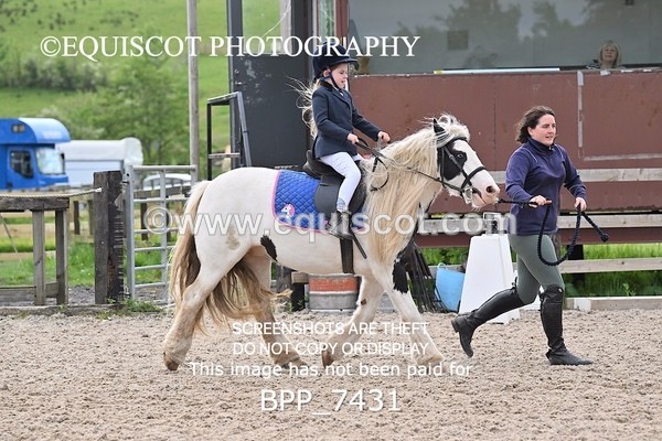 BPP_7431 - CLASS 0 CLEAR ROUND Show Jumping