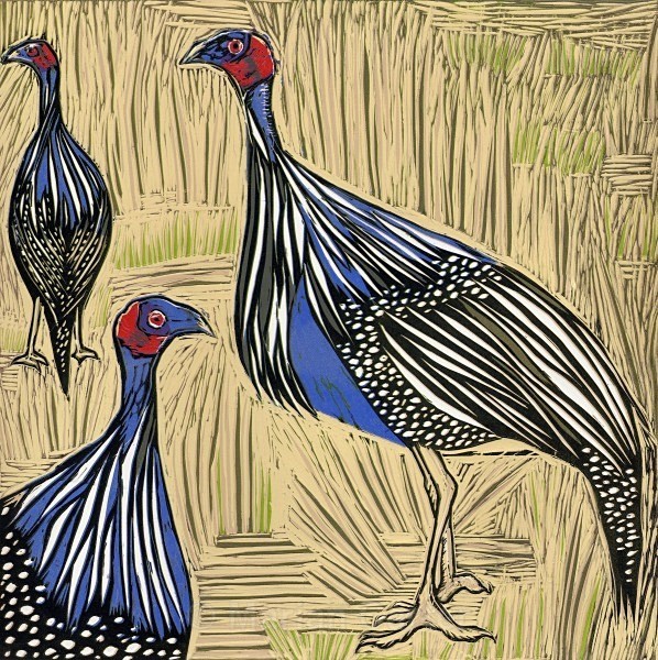 Vulturine Guinea Fowl, Samburu, Kenya - Reduction Linocuts