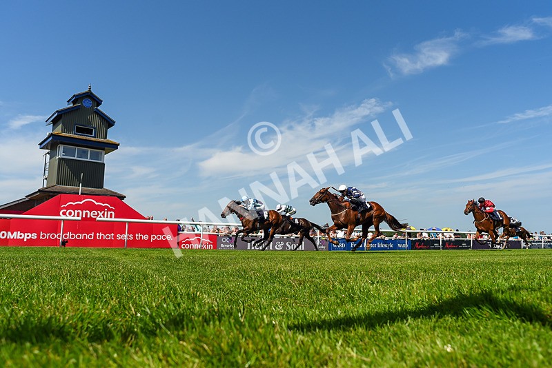 230626-Race 3-Tamzan-5258 - Race 3 15.15pm Big Racing Weekender Next 3 And 4 July Restricted Maiden Stakes