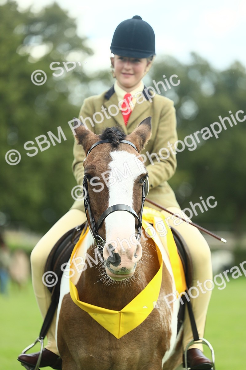 SBM_42180 - S29 - Novice & Newcomers Working Hunter Pony