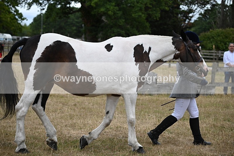 WJ6_8274 - Class 10 Coloured in Hand