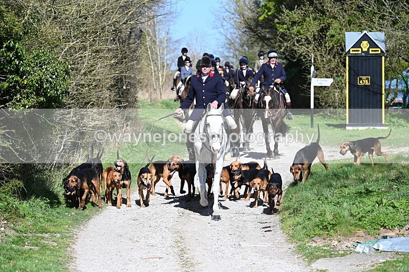 WJ7_9643 - Home for hunt tea !