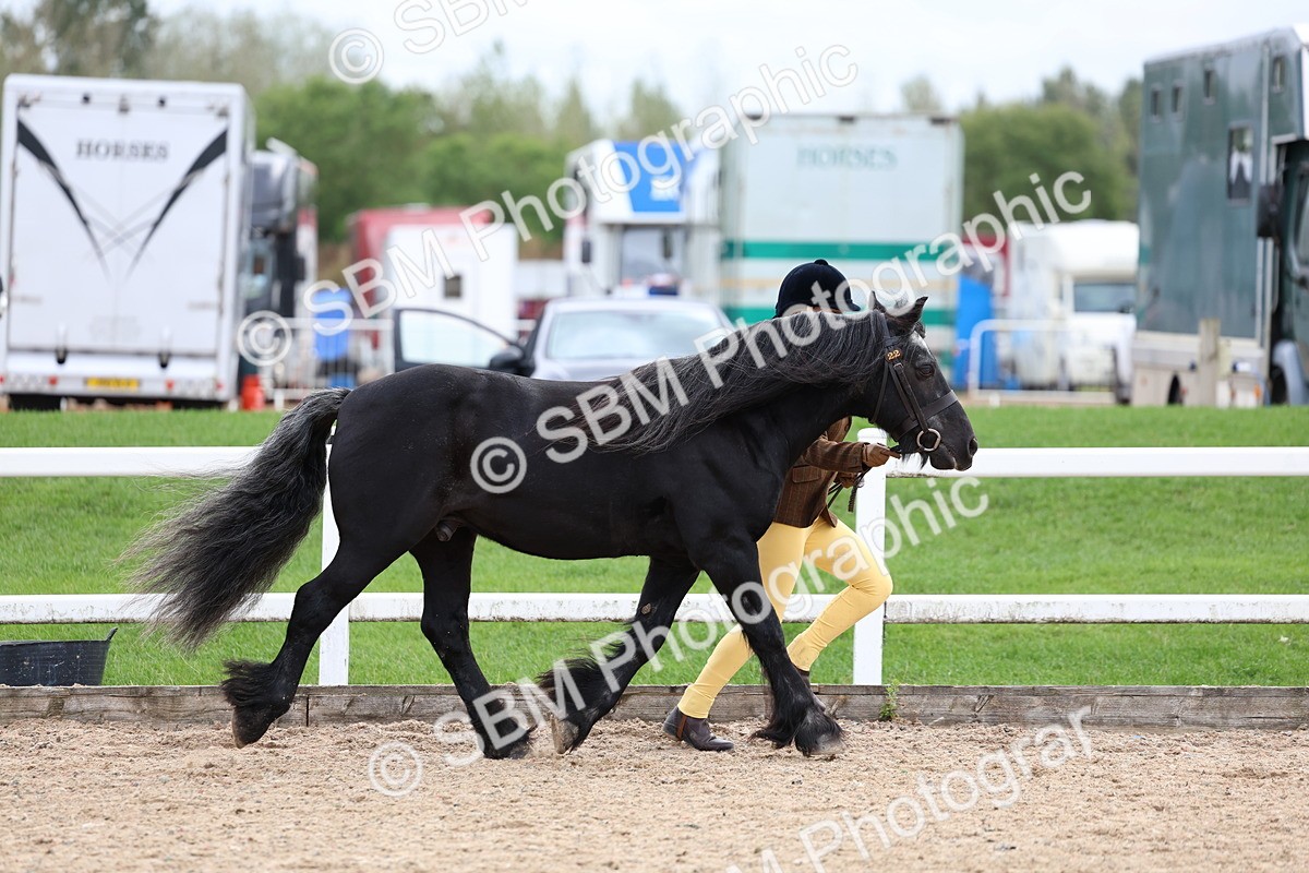 SBM_05866 - Class 29 - IH Veteran Pony