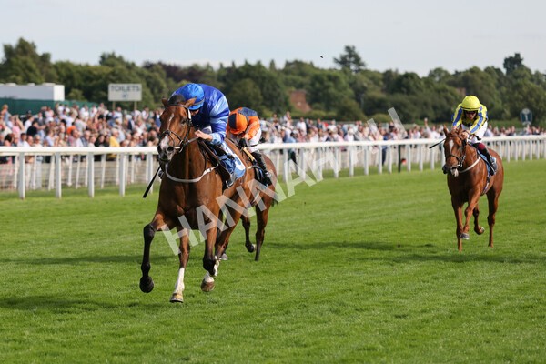 yr08072022r7-13 - Race 7 5.30pm Jigsaw Sports Branding Handicap
