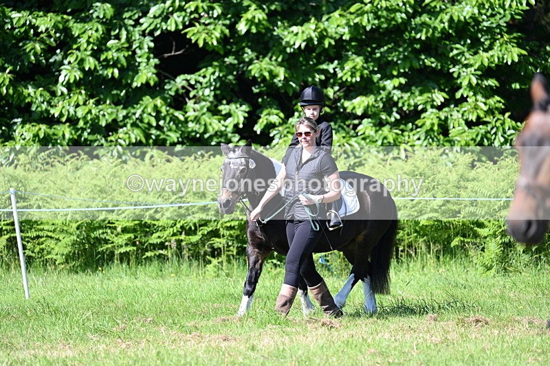 WJ7_0450 - Class 8 First Rally Pony