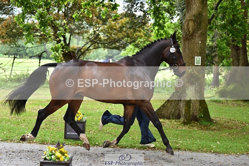 240522-155750-00610 - 108-DROUGHTVILLE_MIKE-Georgina_Beeby_Wynn