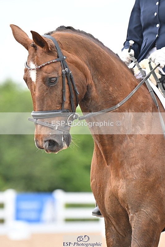 240621A-151547-04676 - Cls 13 BD Adv Medium 91