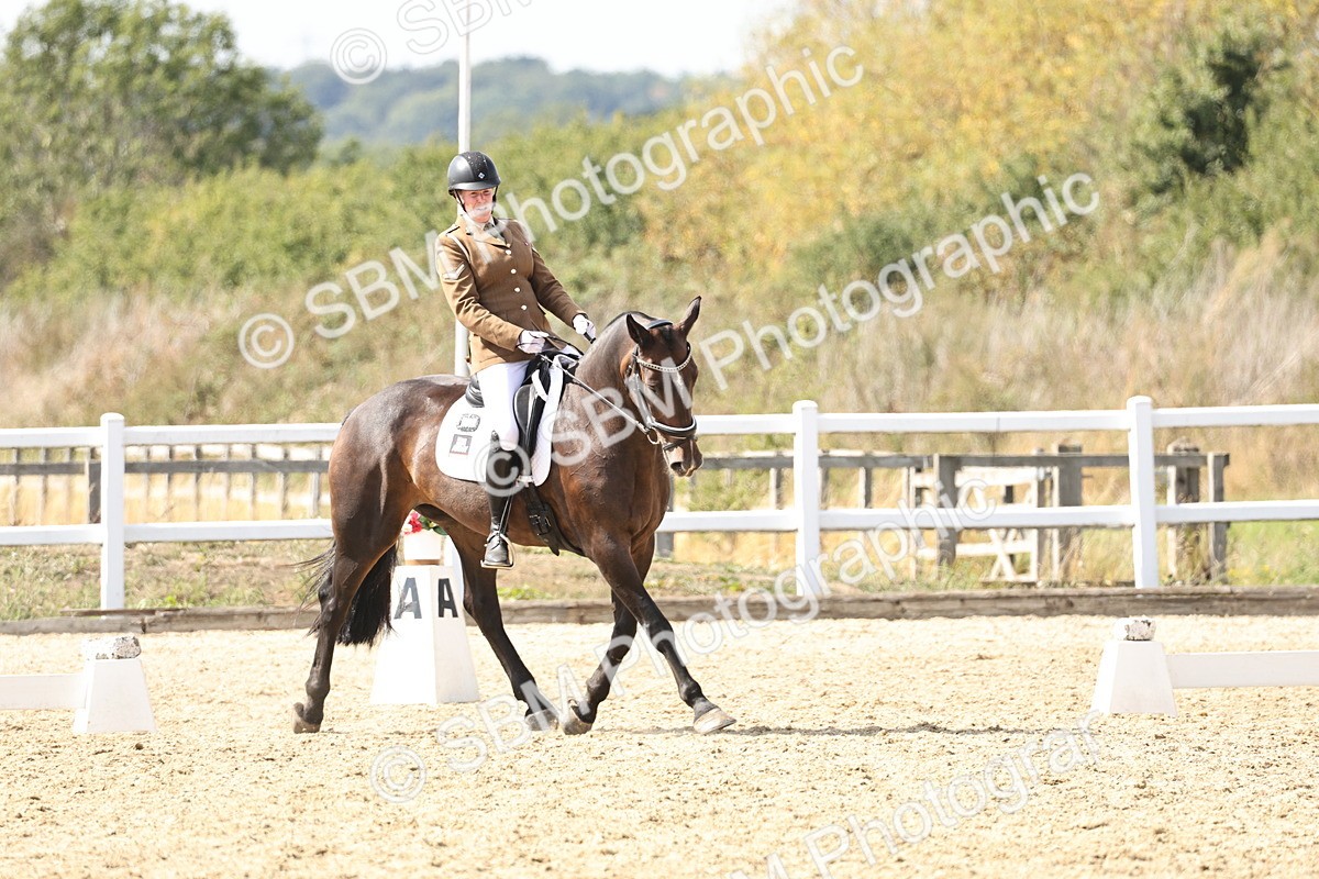 SBM_014901 - Class 7 - Medium 3