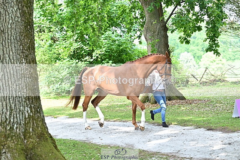 250521A-151920-00420 - B-307-Rosalind.Canter-SILVESTERS.FINESSE