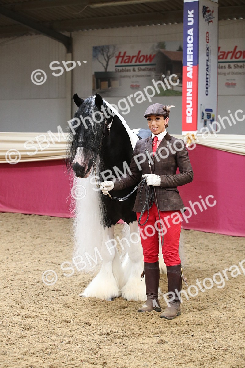 SBM_05774 - Class 9R - Regional IH Pre-Vet