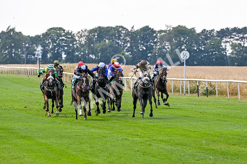160726-Race 3-Angel Numbers-4426 - Race 3 15.03pm Sell Your Business With Anderson Barrowcliff Handicap