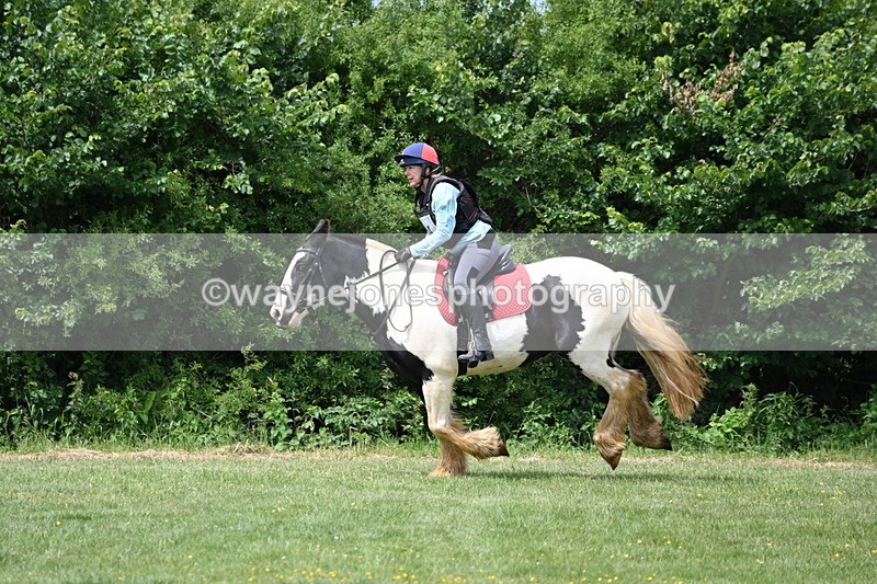 WJ6_3503 - Class 4 60cm