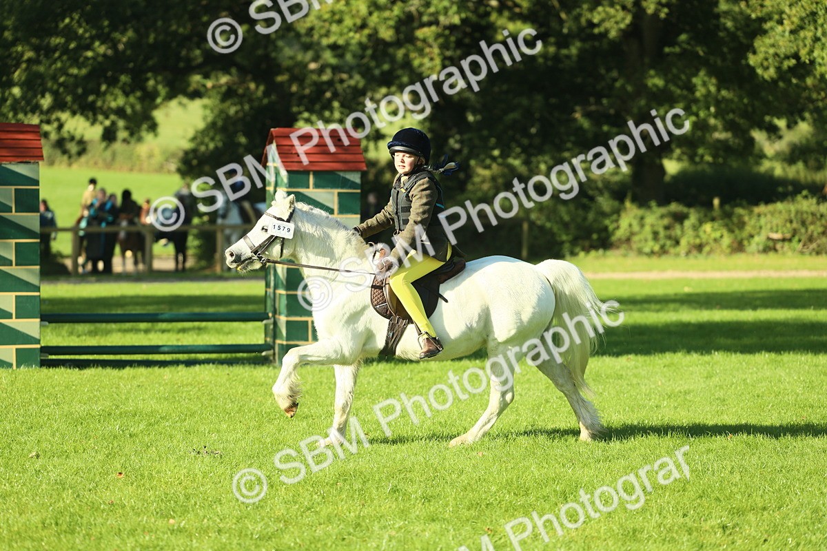 SBM_36306 - S29 - Novice & Newcomers Working Hunter Pony