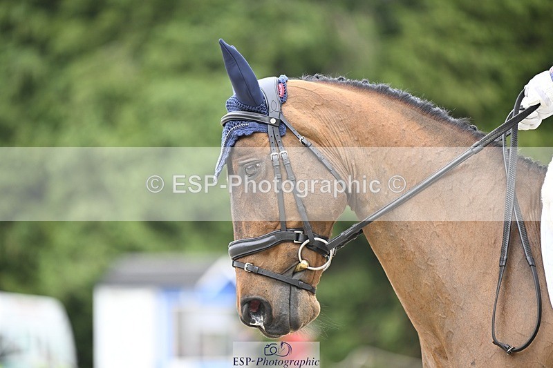 240523-144942-05112 - 442-FERNHILL_ZORO-Cassie_Sanger