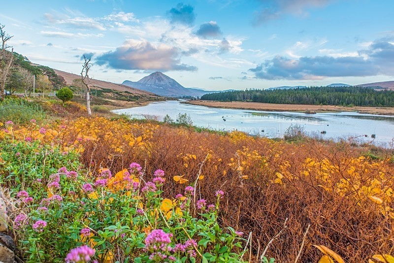 _DSC9325 - Dunleyey & Errigal