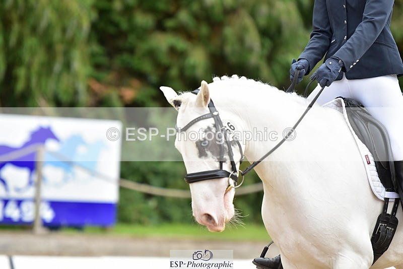 250719A-143724-06310 - 166-Ruby.Vincent-Silver.lining