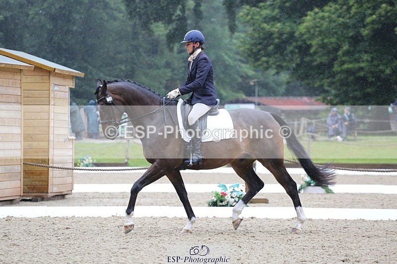 240720-114741-04581 - 234-Georgie_Dudden-Wellpark_Fearless_Fred