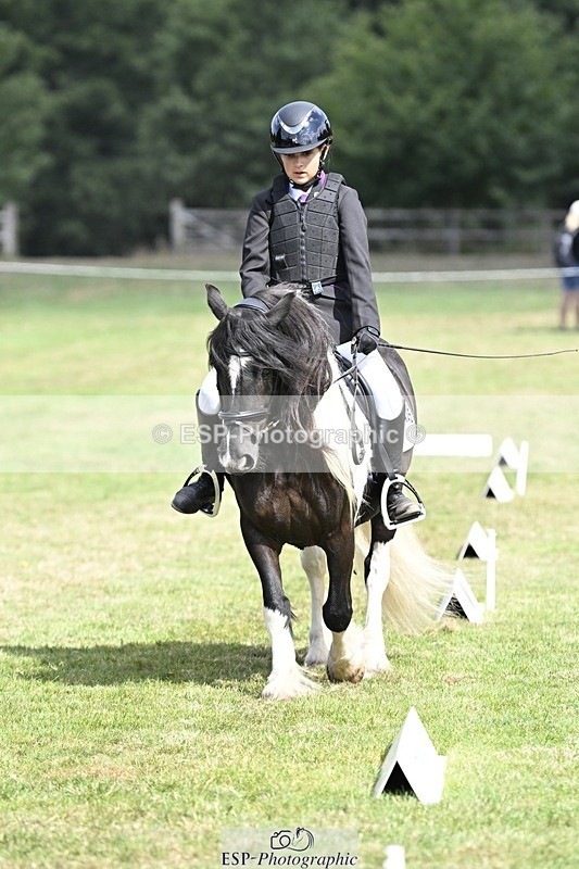 250821A-114231-15291 - DR 11.00 to 12.00