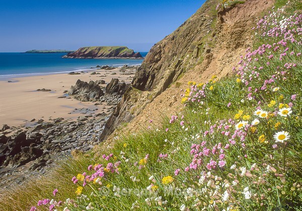 p90 - Pembrokeshire p/c catalogue