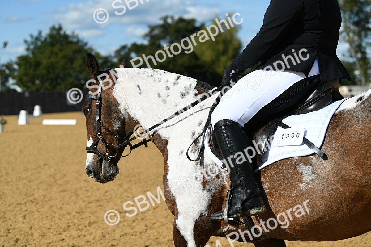 SBM_25076 - D13 - Grand Tour Championship - Prelim 12