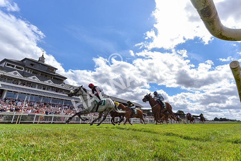 010826-Race 4-Accrual-4617 - Race 4 15.17pm Jordan Foy Memorial Handicap