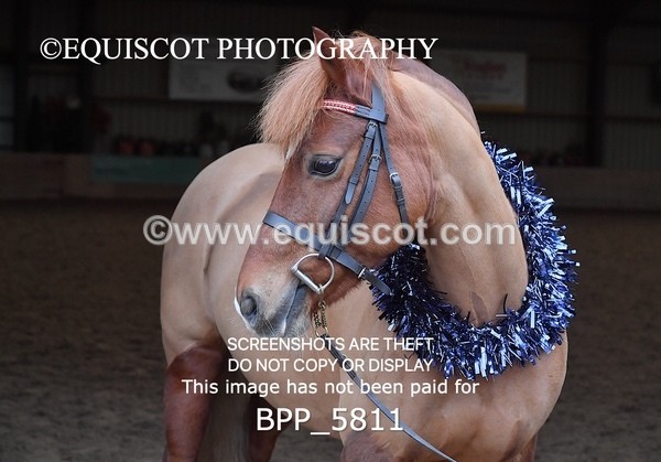 BPP_5811 - Sarah Page