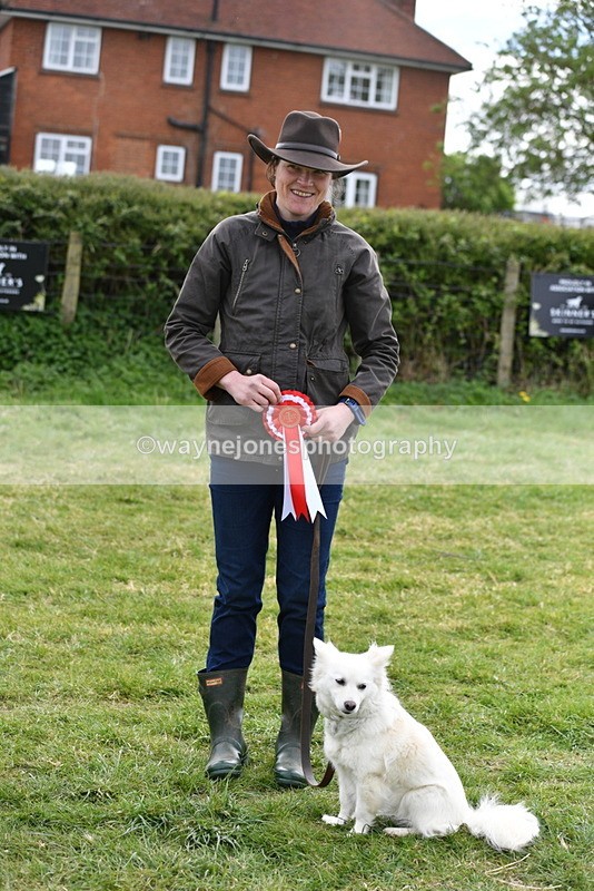 WJ5_9390 - Class 1 Best Cross Breed / Heniz 57