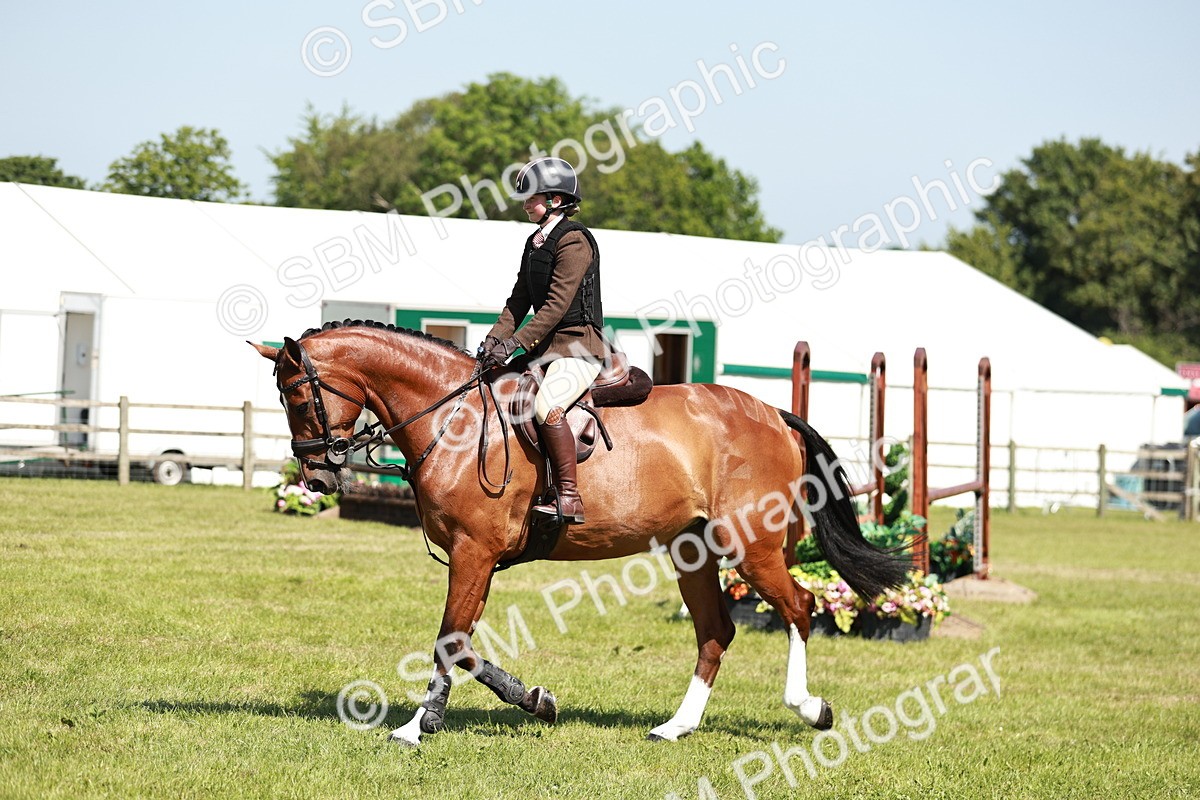 SBM_18311 - Class 112-113 - BSPS LIHS Working Sports Pony