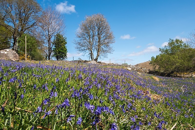 MF1_4331 - Other Areas of Inland Donegal