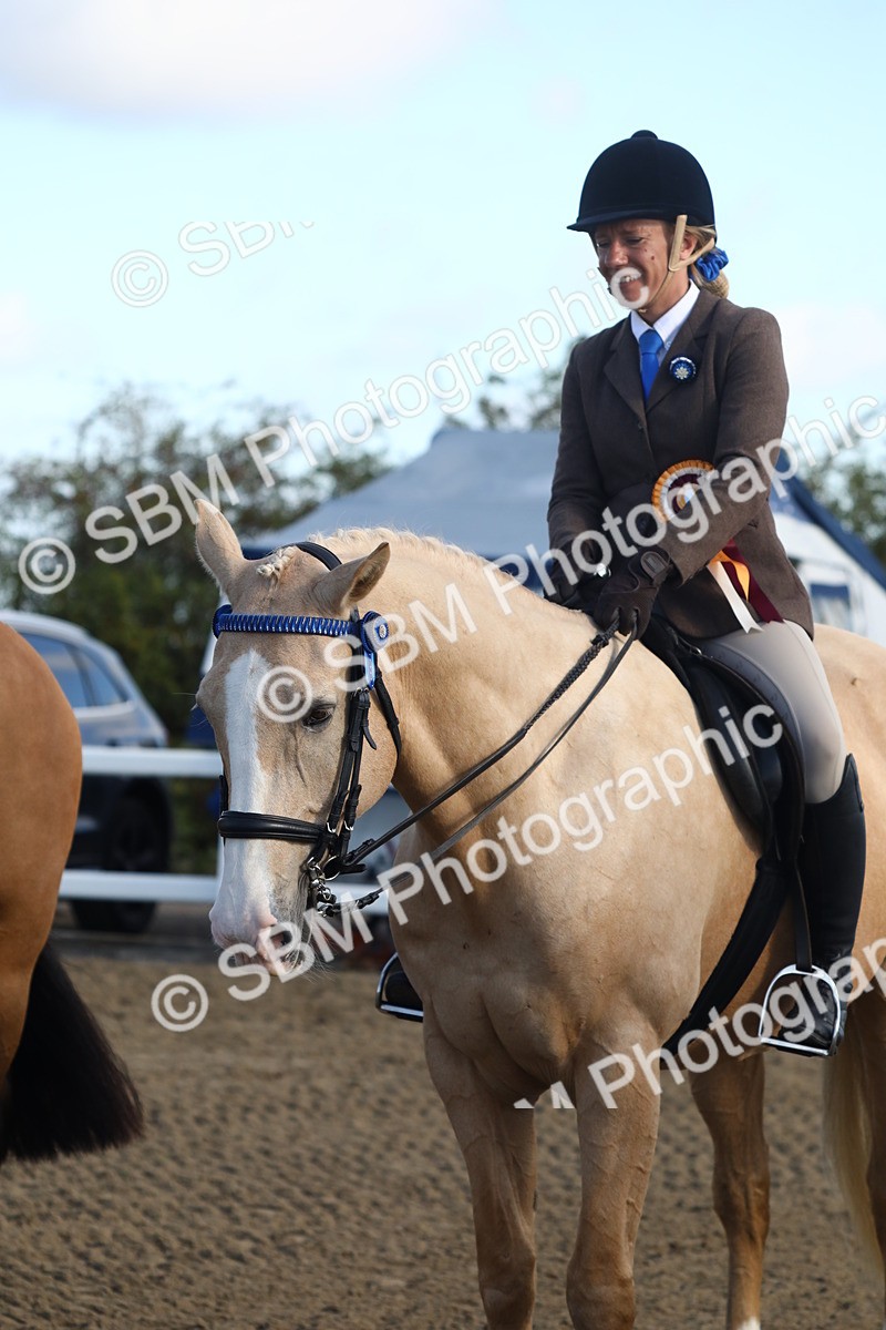 SBM_08610 - Class 502 - Riding Club Horse