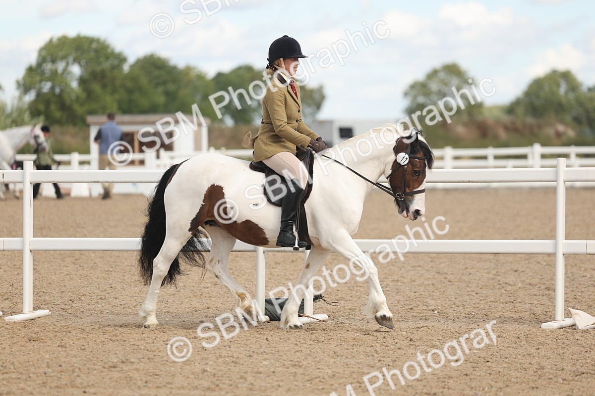 SBM_14632 - Class 307 - Ridden Coloured Pony