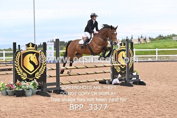 BPP_3377 - CLASS 13 - SAT - SENIOR BRITISH NOVICE / 90CM OPEN