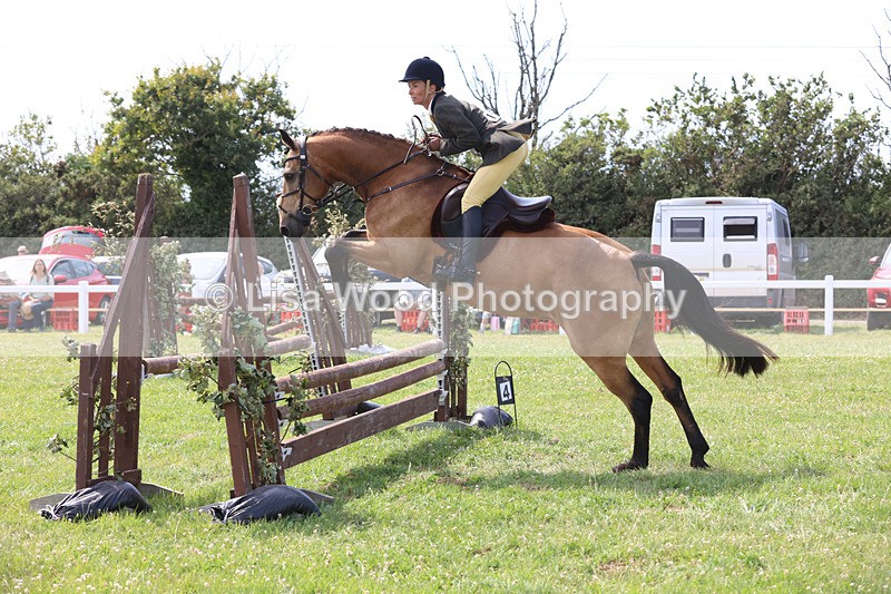 JPP_3725 - Class 23: Working Hunter 80cm