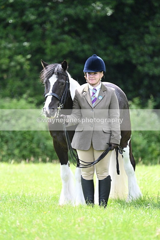 WJ7_1528 - Class 11 Condition & Turnout