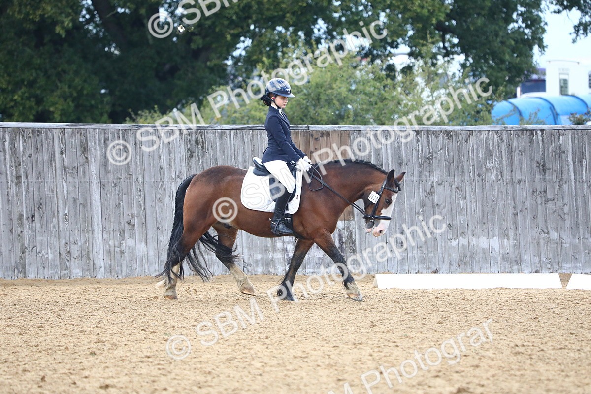 SBM_39034 - D21 - Junior Championship Intro 1