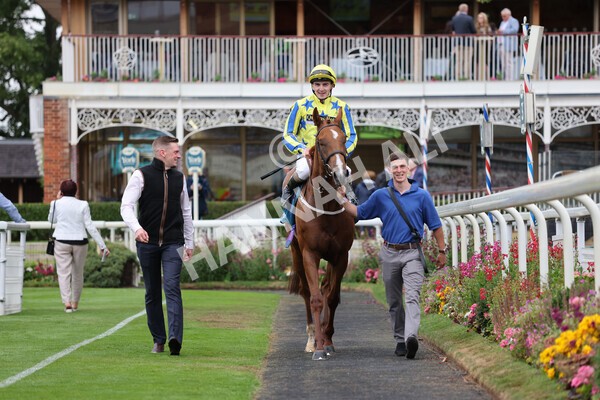 yr22072022r3-67 - Race 3 6.20pm Tomahawk Stakes