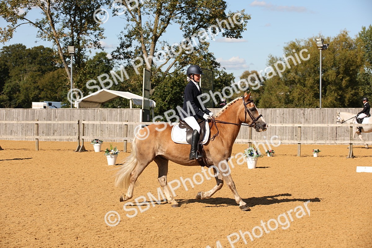 SBM_24245 - D5 - Small Tour Championship - Intro C