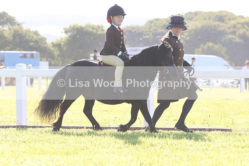 JPP_0688 - Class 16: Cornish Combination Leading Rein