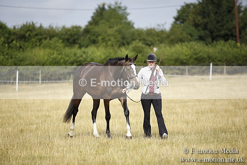 _C7A9142 - BVRC Sow 2018 Ring 2