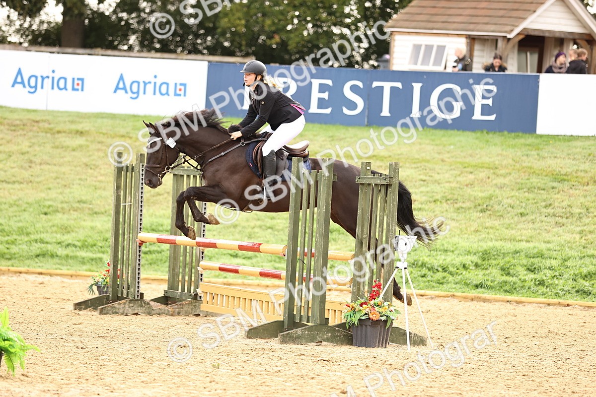 SBM_58472 - J41 - Grand Tour Horse & Pony 95cm