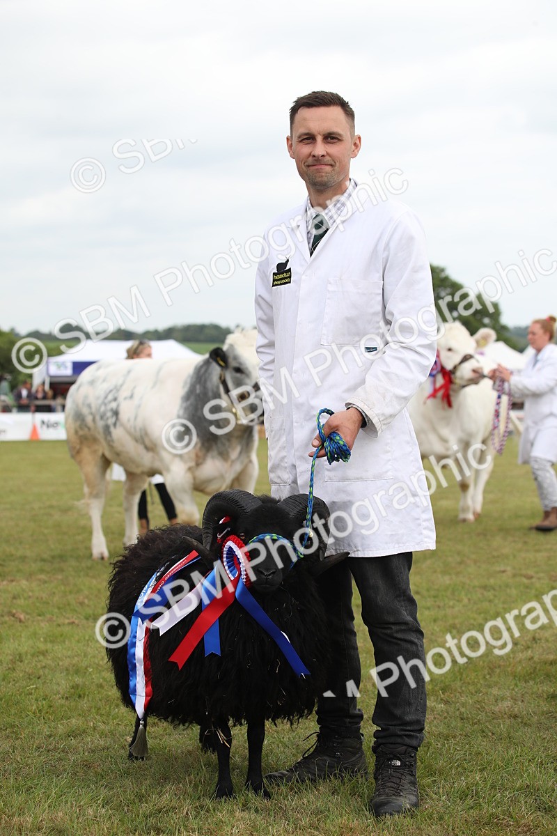 SBM_07873 - Grand Parade