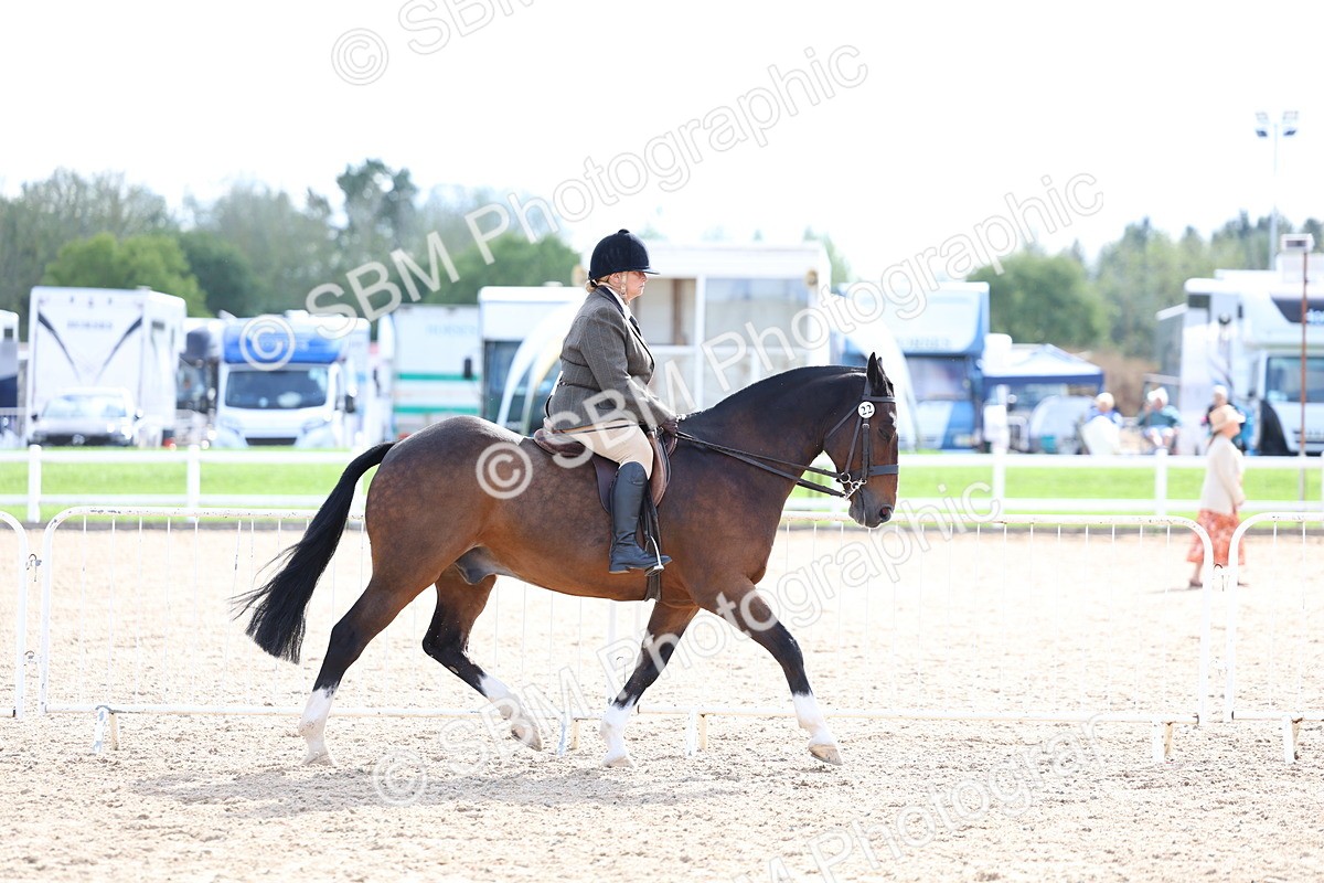 SBM_17106 - Class 315 - Best Horse - Rider Combination
