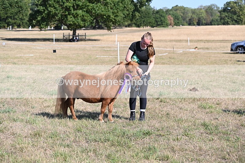 WJ6_7349 - Class 33 Rescue Pony