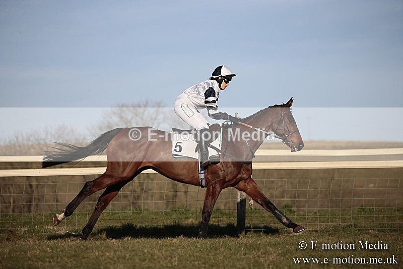 PtP 240218 664 - Vine & Craven Hunt Point-to-Point Barbury racecourse 24/02/18